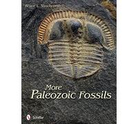 More Paleozoic Fossils by Stinchcomb, Bruce L.