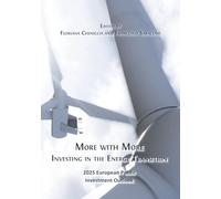 More with More: Investing in the Energy Transition: 14