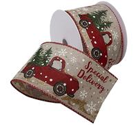 Morex Ribbon Nastro, poliestere, rosso/verde
