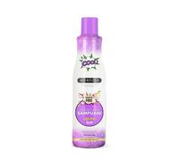 Morfose Shampoo per capelli 2 in 1, senza solfati, senza cheratina, 500 ml, per capelli gravemente danneggiati e danneggiati, riparante, nutriente, senza solfati