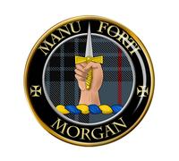 Morgan Clan Scozzese Spilla