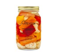 Morgan - Giardiniera Croccante in Agrodolce senza Olio 3100 ml | La Giardiniera di Morgan