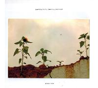 Morgan Noise Something Built, Something Remembered (CD) Album