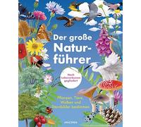 Morgane Peyrot Der große Naturführer. Pflanzen, Tiere, Wolke (Copertina rigida)