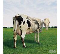 Morgaua Quartet - Atom Heart Mother Is On The Edge