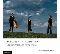 Morgenstern Trio - Morgenstern Trio - Schubert & Schumann Vol. 2