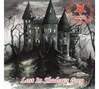 Morgul - Lost in Shadows Grey