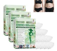 Moringa 10-in-1 Advanced Nano Microneedle Patch, Professional Slimming Patches for Belly, Arms&Legs, Natural Fat Reduction Body Patches,Per Pancia Di Birra, Vita Addominale Grasso (A-21Pezzi)