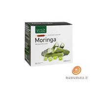 Moringa 15 Ampolle Ligne De Plantes
