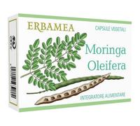 MORINGA OLEIFERA 24CPS