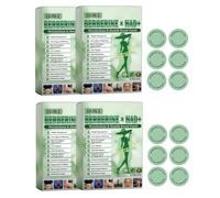 Moringa x Berberine Patch 10 in 1 Nano Microneedle Dimagrante Ingredienti Naturali, Facile da applicare, Invisibile sotto i vestiti, Ideale per Uomo e Donna