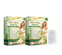 Moringa X Berberine Patch dimagrante Erba 10 in 1 Nano Microneedle Patch