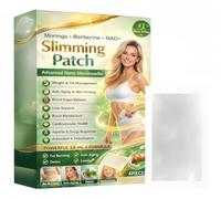 Moringa X Berberine Patch dimagrante Erba 10 in 1 Nano Microneedle Patch