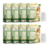 Moringa X Berberine Patch dimagrante Erba 10 in 1 Nano Microneedle Patch