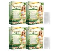 Moringa X Berberine Patch dimagrante Erba 10 in 1 Nano Microneedle Patch