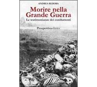 Morire nella Grande Guerra. Le testimonianze dei combattenti