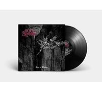 Mork Gryning - Live at Kraken