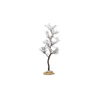 Morning Dew Tree, Small Cod. 74251