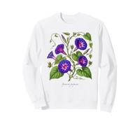 Morning Glory pianta Illustrazione Ipomoea purpurea Felpa