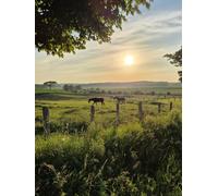 Morning Graze - Sketchbook for Artists: A creative companion from BROH Line Studio’s Scenic Art Edition