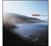 morning view--Import USA