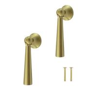 MOROBOR 2 maniglie a goccia per armadietti, maniglie pendenti in ottone spazzolato, maniglia a foro singolo con viti di montaggio per armadio, armadio, cassetto, porta, mobili decorativi