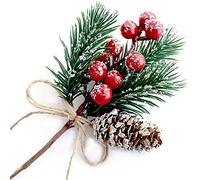 Morofme Christmas Berries Red Stems Evergreen Pine Branches