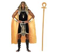 Morph Costume Faraone Uomo, Costume Egizio Halloween Uomo | Gonna Dorata, Copricapo, Mantello & Bastone, Sovrano dell'Antico Egitto, Perfetto per Halloween, Ideale per Travestirsi