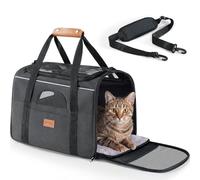 Morpilot Trasportino per gatti grandi e cuccioli fino a 6.8 kg, con cerniere di sicurezza, pieghevole, per il trasporto di gatti e cani, per andare al veterinario, 42x28x28cm, Grigio fumo chiaro
