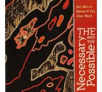 The Necessary And Possib. - Joe^Fell, Simon^Ward, Alex Morris (Audio cd)