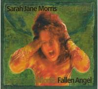Morris,Sarah Jane - Fallen Angel