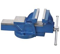 Fervi 0174/125 MORSA DA BANCO PROFESSIONALE IN GHISA APERTURA 130