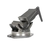 Morsa da tavolo, morsa in ghisa, larghezza ganasce: 100 mm, inclinabile da 0° a 90°, girevole a 360°, telaio permette di precisione morsa