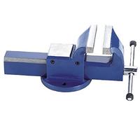 Fervi Morsa in acciaio semplice 0036/125 da 125 mm bocca 138 mm