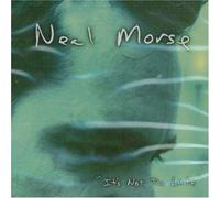 Morse, Neal - It's Not Too Late