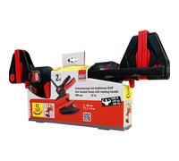 BESSEY 2 morsetti a mano con manico girevole EZ360-SET, apertura alare 300 mm, sporgenza 80 mm, semplice lavoro sopra la testa, innovativo meccanismo girevole a 360°