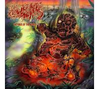Mortal Wound The Anus of the World (Vinyl LP) 12" Album