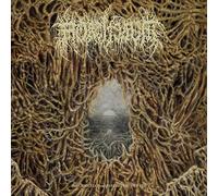 Mortiferum - Disgorged From Psychotic Depths