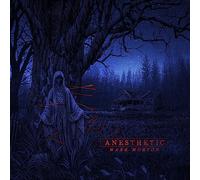 Morton Mark( Chitarrista Lamb Of God) - Anesthetic
