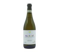 Moscato d'Asti DOCG 2024 - FNA 0.75 lt