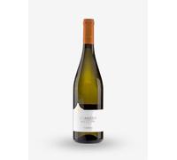 MOSCATO D'ASTI DOCG 2024 SCIANDOR BANFI LT 0,750