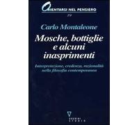 Mosche, bottiglie e alcuni inasprimenti. Interpretazione, credenza, razionalità nella filosofia contemporanea