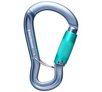 Moschettone Black Diamond Gridlock Triple Lock Argenté TU