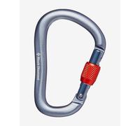 Moschettone Black Diamond RockLock Screwgate grigio