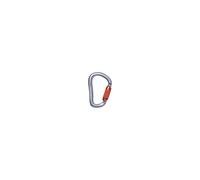 Moschettone Black Diamond Vaporlock Twistlock grigio argento