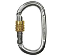 Moschettone Climbing Technology Pillar Steel SG
