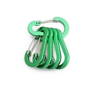 Moschettone D, 5 pezzi Strumenti Moschettone Zaino da esterno Campeggio Arrampicata Gancio Portachiavi Lucchetto Fibbia Clip a scatto Grandi ganci a molla(Green)
