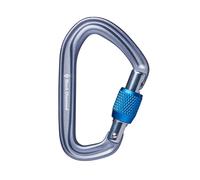 Moschettone da arrampicata a vite Black Diamond Hotforge Gris TU