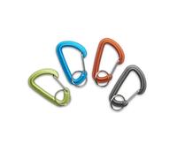 Moschettone da arrampicata Black Diamond Micro ACCSSRY Argenté TU