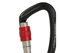 Moschettone da arrampicata professionale 25 kN a forma di D in alluminio aeronautico con chiusura sicurezza, strumento for all'aperto, attrezzatura for alpinismo(Black 1pcs)